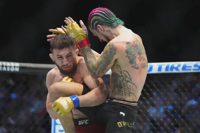 Мераб Двалишвили — Шон О’Мэлли: прогноз на бой UFC 316